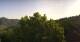 Bosia 14.06.2025 08:21
