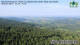 Maibrunn 15.06.2025 08:18
