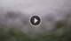 Syðrugøta 23.06.2025 08:22