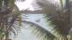 Pointe aux Canonniers 30.04.2025 08:22
