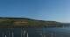 Bingen am Rhein 30.04.2025 08:22
