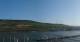 Bingen am Rhein 09.07.2025 08:22