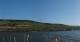 Bingen am Rhein 17.03.2025 08:23