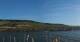 Bingen am Rhein 09.05.2025 08:22