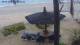 Phan Thiet 30.04.2025 08:29
