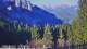 Schwangau 01.05.2025 08:23