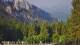 Schwangau 09.06.2025 08:23