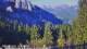 Schwangau 11.05.2025 08:23
