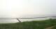 Nebel (Amrum) 14.06.2025 08:23