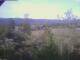 Eggedal 09.06.2025 08:23