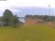 Rhede 14.06.2025 08:23