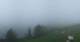 Bad Bleiberg 09.06.2025 08:24