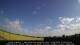 Winterton 29.06.2025 08:25