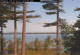 Windham, Maine 15.06.2025 08:26