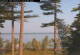 Windham, Maine 15.07.2025 08:31