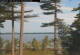 Windham, Maine 06.07.2025 08:25