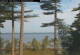 Windham, Maine 07.07.2025 08:25