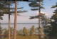 Windham, Maine 07.07.2025 08:25