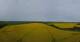 Kap Arkona 11.05.2025 08:26