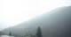 Stilfs 09.06.2025 08:27