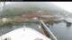 Norwegian Bliss 17.03.2025 08:27