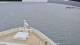 Norwegian Jade 29.04.2025 08:27