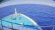 Norwegian Sun 02.07.2025 08:27