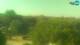 Fažana 05.07.2025 08:27