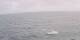 AIDAbella 24.06.2025 08:49