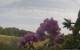 Montbliart 09.06.2025 08:28