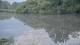 Les Landes-Genusson 15.06.2025 08:28