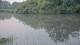 Les Landes-Genusson 09.06.2025 08:28