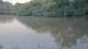 Les Landes-Genusson 14.07.2025 08:32