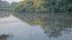 Les Landes-Genusson 12.06.2025 08:28