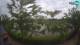 Sisak 12.05.2025 08:28
