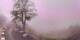 Lourdes 15.06.2025 08:28