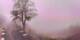 Lourdes 02.07.2025 08:28
