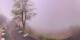 Lourdes 11.05.2025 08:28