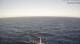 AIDAcosma 08.07.2025 08:28