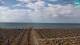 Bibione 09.07.2025 08:28
