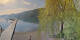 Annenheim 20.05.2025 08:49