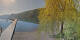 Annenheim 20.05.2025 08:49