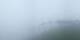 Prarion 08.07.2025 08:19
