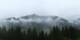 Morgins 24.03.2025 08:20