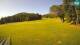 Sorica 15.06.2025 08:29