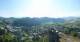 Griffen 13.07.2025 08:33