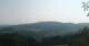 Zierling 09.06.2025 08:29
