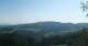 Zierling 02.07.2025 08:29