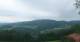 Zierling 03.07.2025 08:29