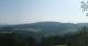 Zierling 14.06.2025 08:29